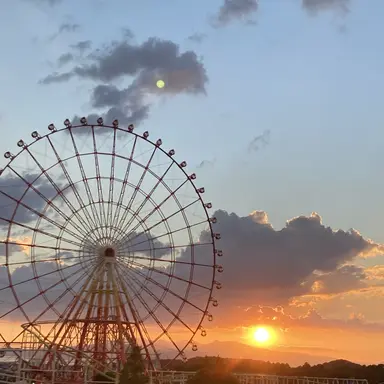 Profile image of 桜田ももか