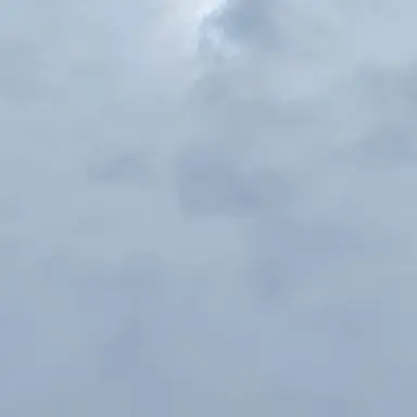 Profile image of 유저님들