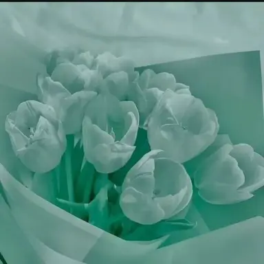 Profile image of 예엥