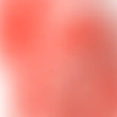 Profile image of 루비