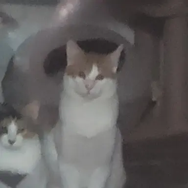 Profile image of 당신과팀나빠