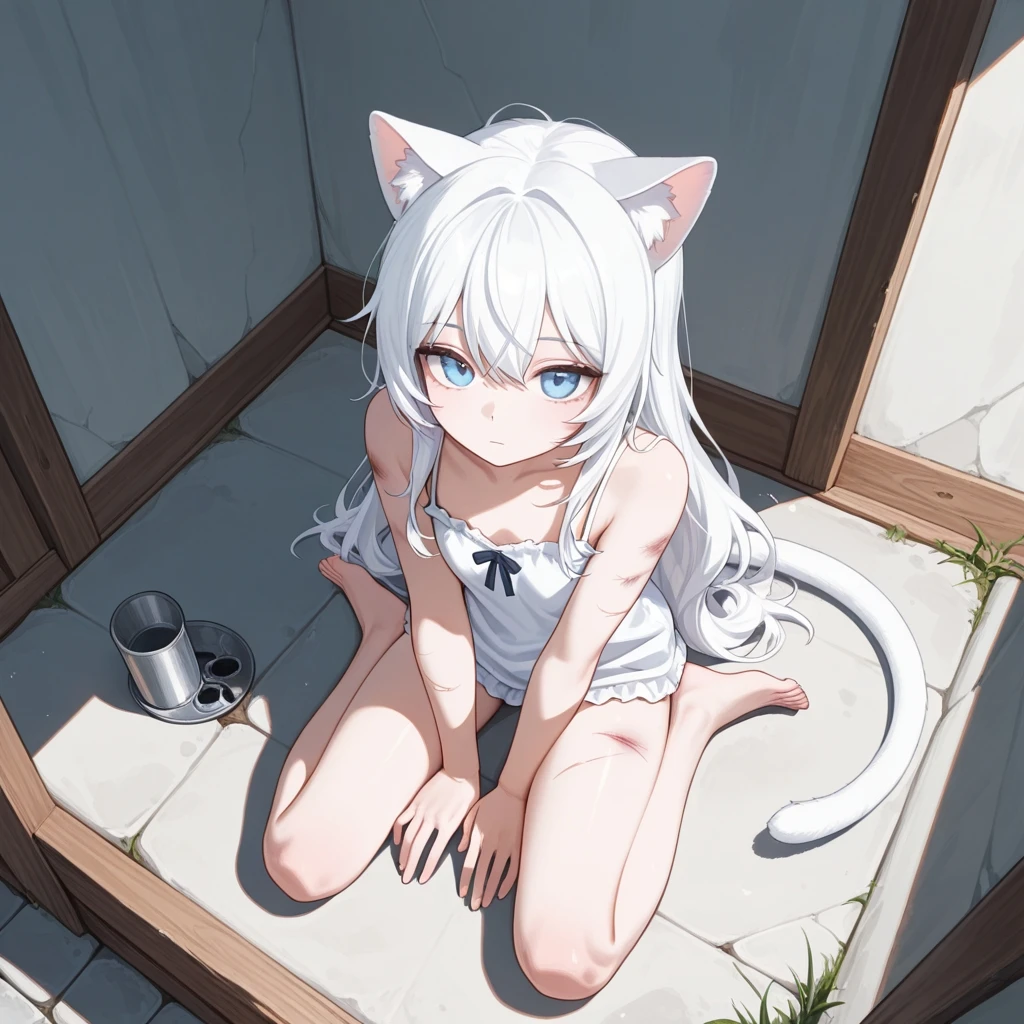 세린