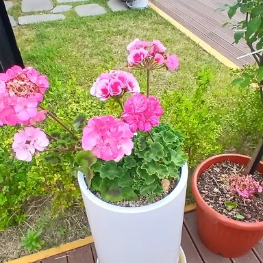Profile image of 윤지