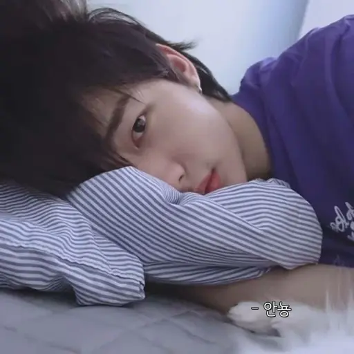 FaintTire3086의 황현진