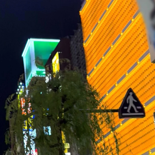 김동현