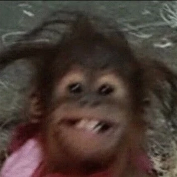 오랑우탄