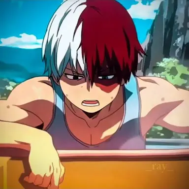 Profile image of Shoto todoroki