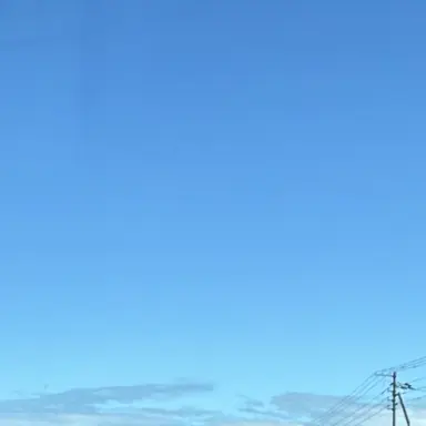 Profile image of Jerry