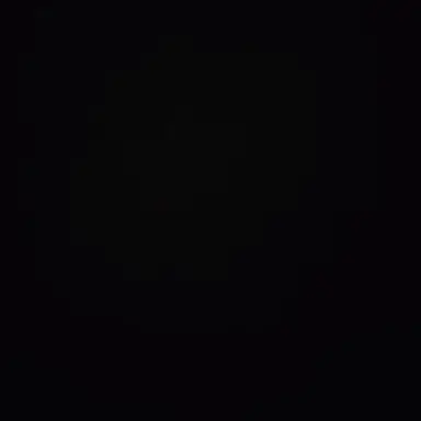 Profile image of T
