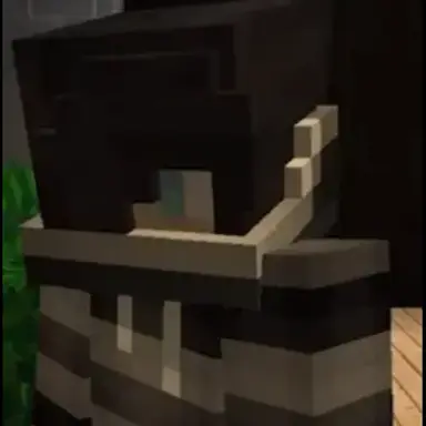 Profile image of Zane