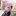 桜庭 あんず