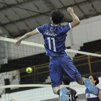 Profile image of nikolas