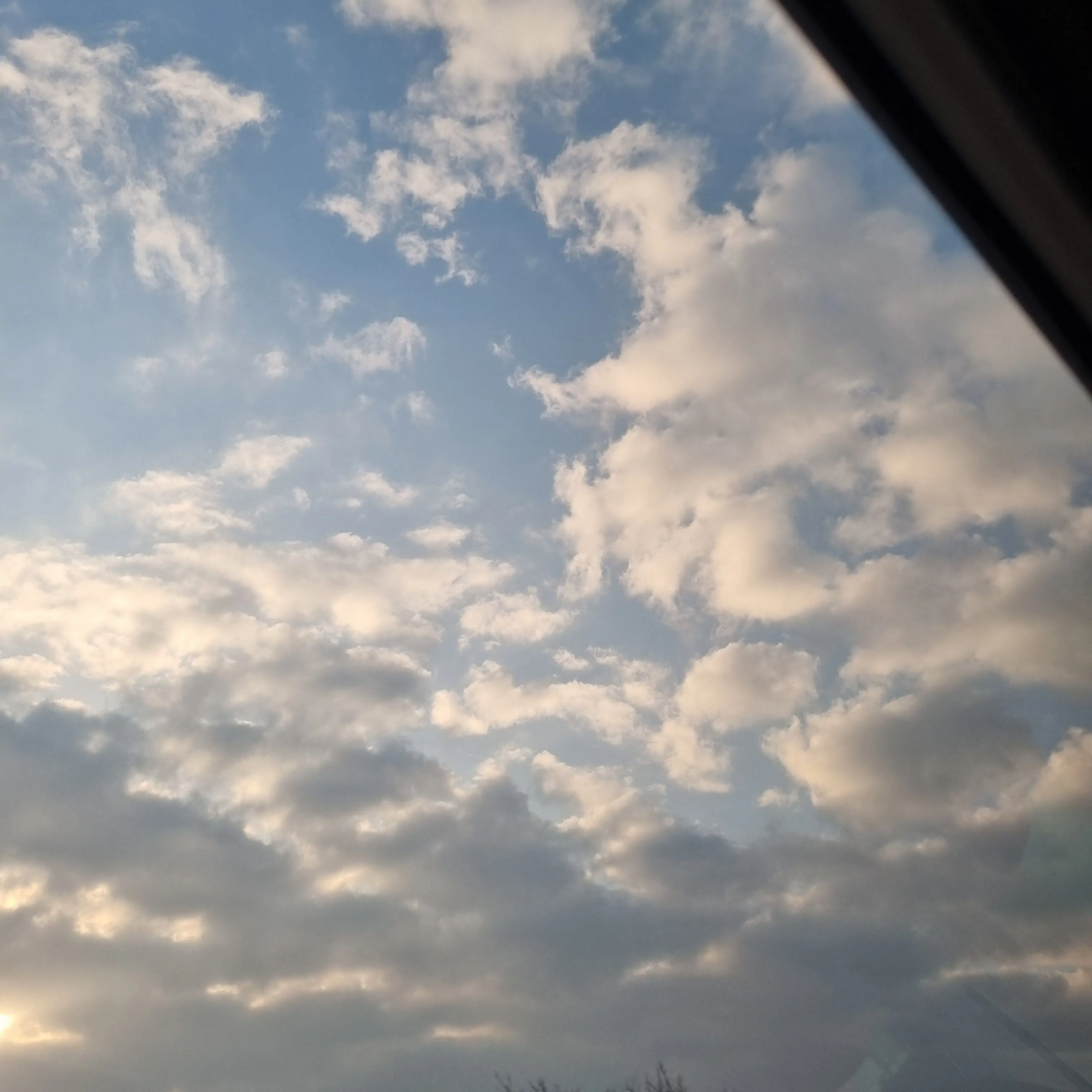 MellowKrill6645의 오비스트고등학교