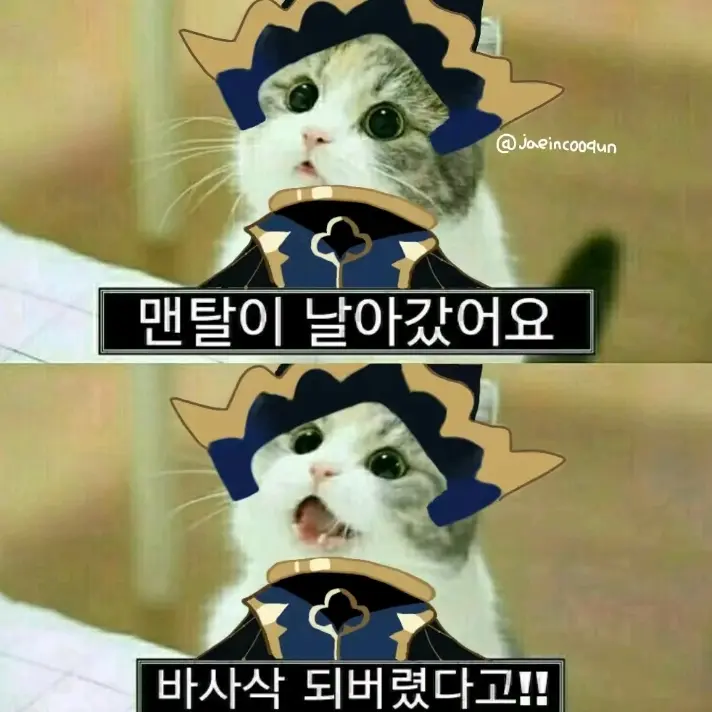 LeafyHead3833의 비스트+여우