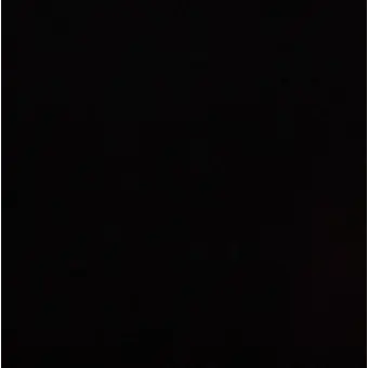 Lucka의 정신병원