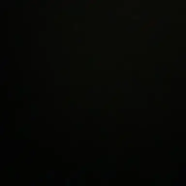 Profile image of 샤오 리엔