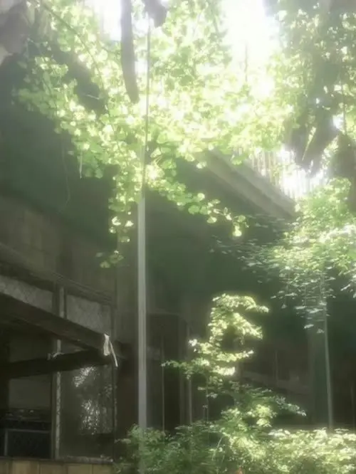 rai_.의 누구를 좋아하게 될까──