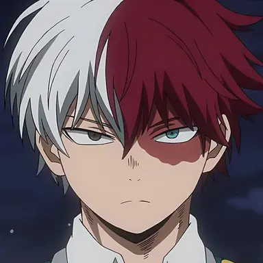 Profile image of Todoroki