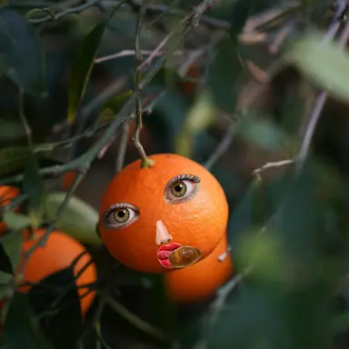 Profile image of 여우