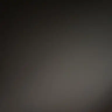 Profile image of 叶