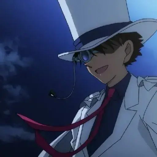 WiseNewt4602의 괴도키드