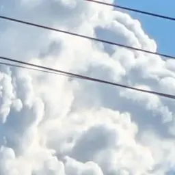 Profile image of 夏コラボメンバー