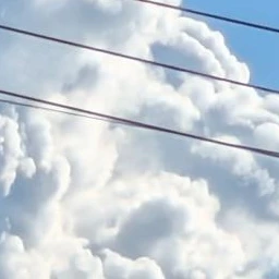 夏コラボメンバー