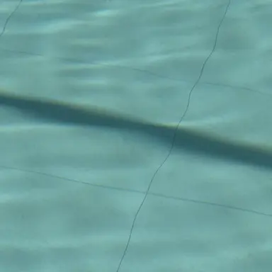 Profile image of 조유식