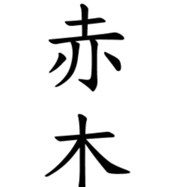 Profile image of 赤木路成