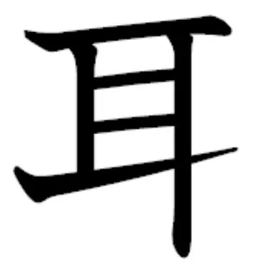 Profile image of 大耳練