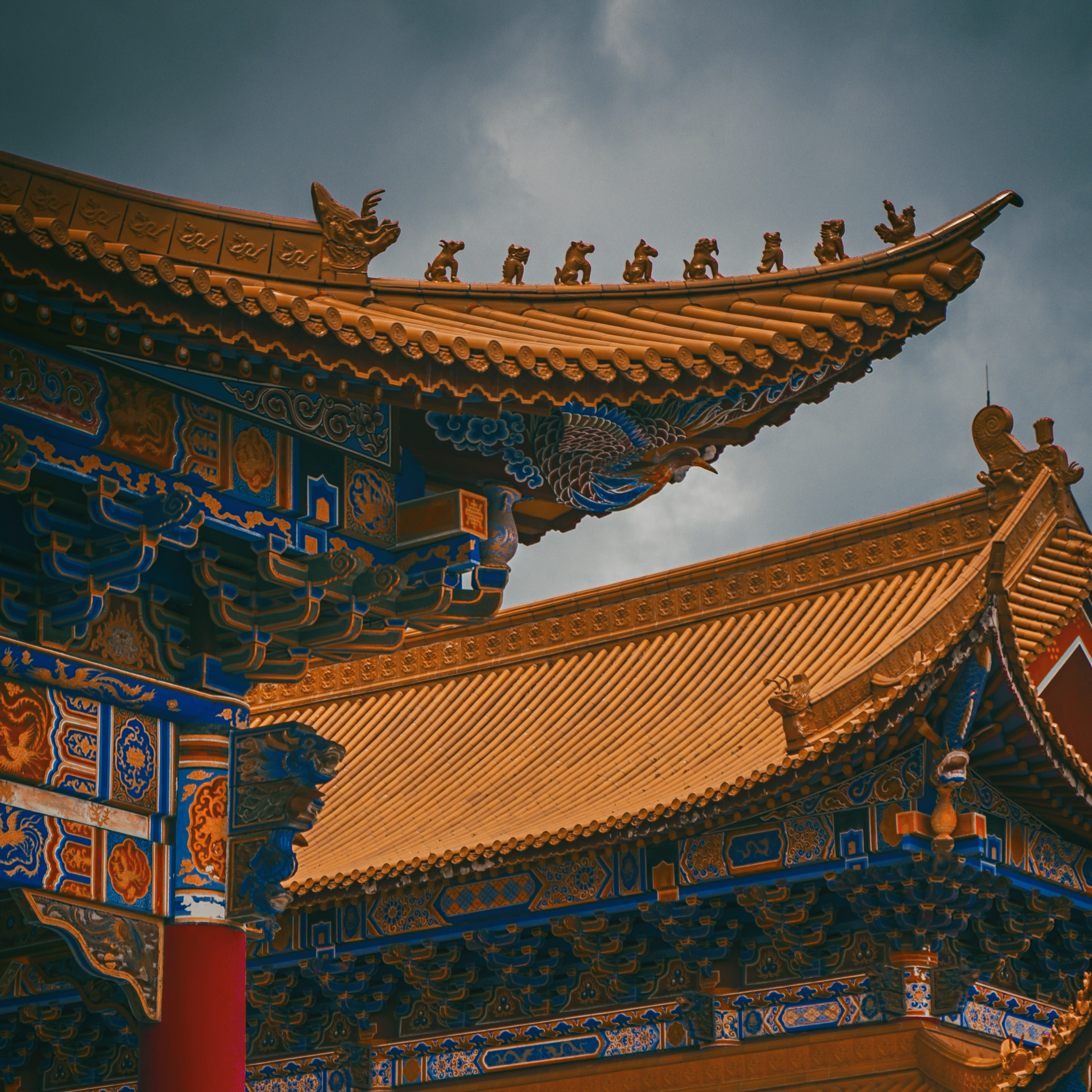 君主 대표 이미지