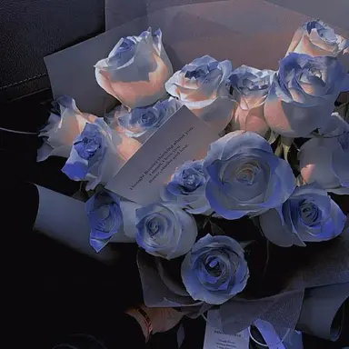 Profile image of 잠뜰