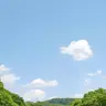 Profile image of 박잠뜰 경위