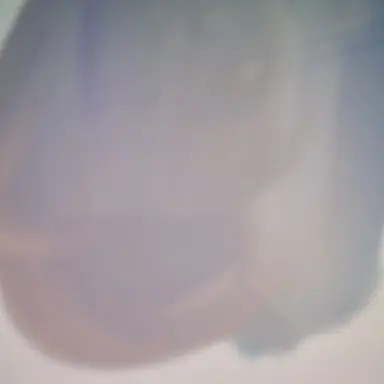 Profile image of 한결