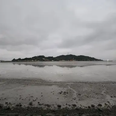 Profile image of 박현진