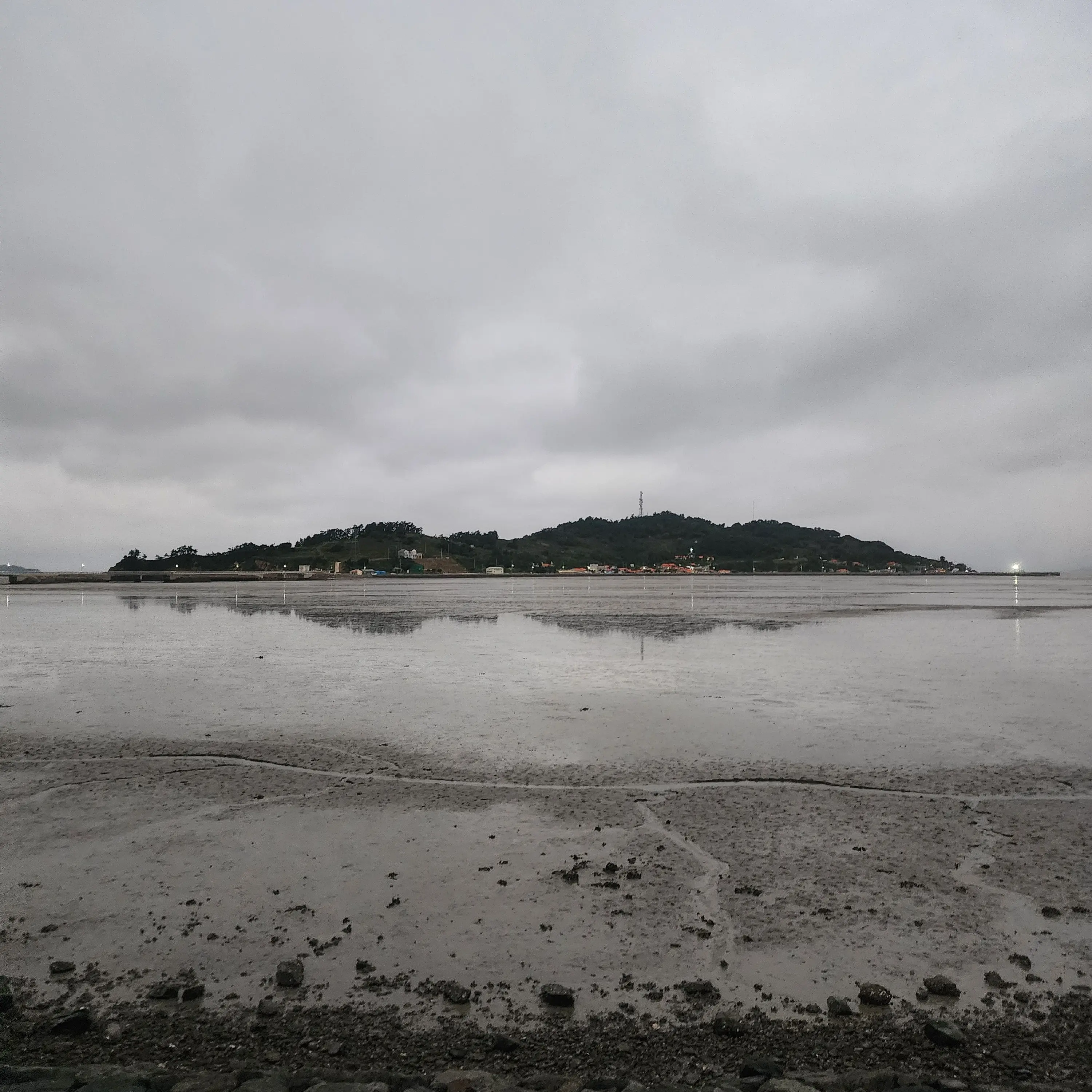 BadDaisy8436의 복수....?