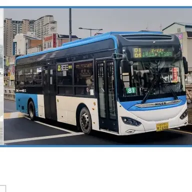 Profile image of 81번 버스