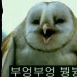 Profile image of 여우