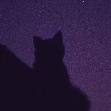 Profile image of 菊池風磨