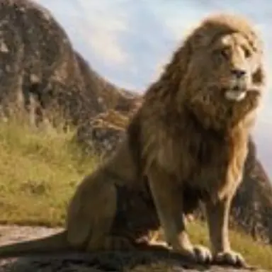 Profile image of Aslan