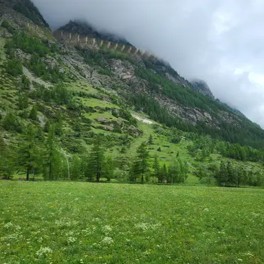 Profile image of 이즈나 멤버되기