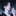 신 휘