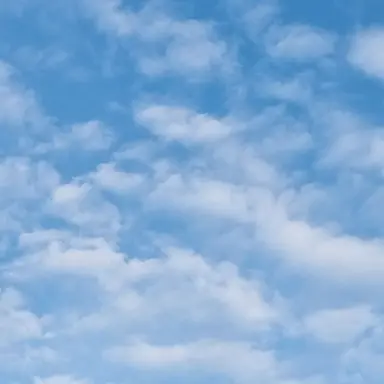 Profile image of 잭