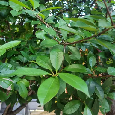 Profile image of 오뉴