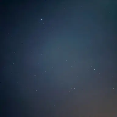 Profile image of ルフィ ボニー クマ