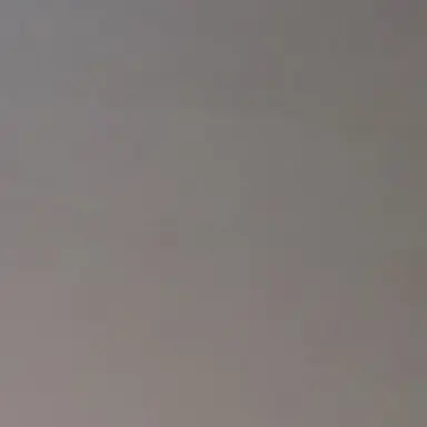 Profile image of 이앙억