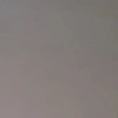 Profile image of 명애언