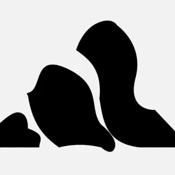 Profile image of Teachers