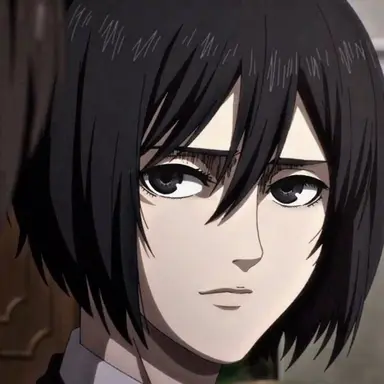 Profile image of 미카사