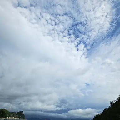 Profile image of 담임선생님